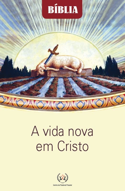 Produto Scala Editora - Livro: A vida nova em Cristo - Coleção Bíblia Geral